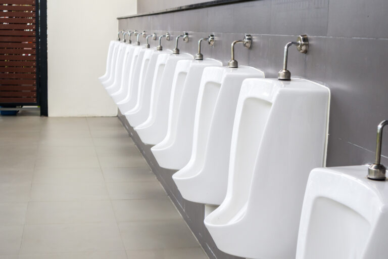 Santé et dignité : la Wallonie veut recenser ses toilettes publiques